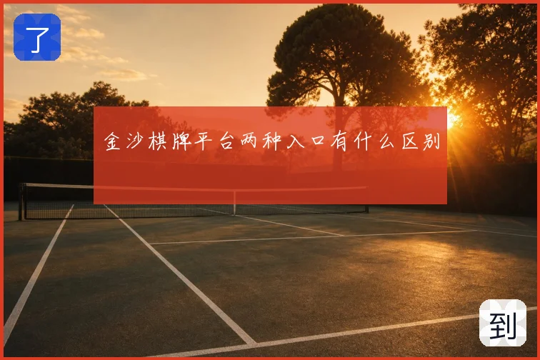 金沙棋牌平台两种入口有什么区别